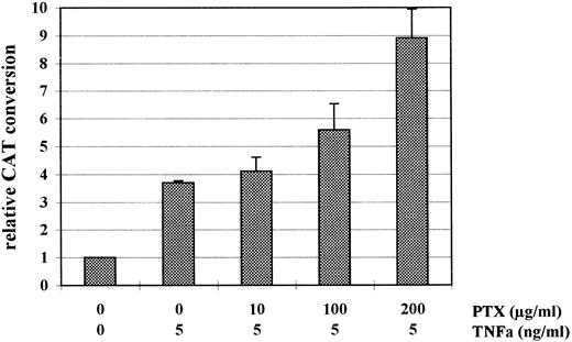 Fig. 3. Relative CAT expression in HL-60 cells incubated with TNFα and PTX in combination, with TNFα alone, or in the absence of either. PTX was added to the culture medium immediately after transfection and 1 hour before TNFα. After 48 hours at 37°C cell extracts were prepared for CAT assay. The diagram shows mean value of relative CAT conversion rates (±SD) measured in four independent experiments.