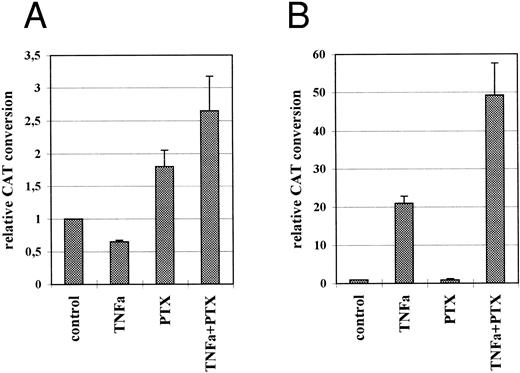 Fig. 4. Relative CAT expression in untreated, TNFα-, PTX-, or TNFα/PTX-treated HL-60 cells transfected with the plasmids p4-19PCAT (A) or p4-18PCAT (B). Following transfection the cells were incubated for 48 hours in the absence or presence of TNFα (5 ng/mL) and/or PTX (200 μg/mL). PTX was added immediately after transfection and 1 hour before TNFα. The graph represents CAT conversion rates obtained in four independent experiments (mean average ± SD).