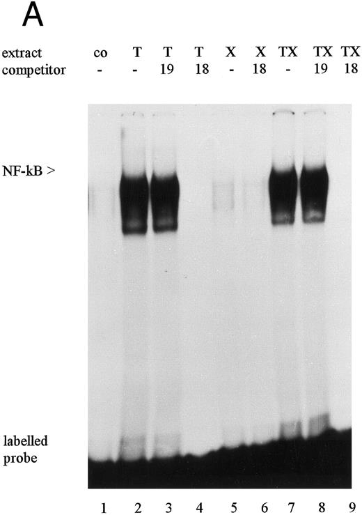 Fig. 5. Electrophoretic mobility shift assays: Protein binding activity in nuclear extracts from untreated (co), TNFα- (T), PTX- (X), and TNFα/PTX (TX)-treated HL-60 cells to the 18-bp (A) or the 19-bp (B and C) sequence motif. Specificity of the DNA-protein interaction was determined by competition experiments (A and B) using unlabeled oligonucleotides containing the 18-bp (18), the 19-bp (19), or the 21-bp (21) sequence motifs of the IE enhancer or an oligonucleotide containing the CRE consensus sequence (CRE). For competition nuclear extracts were preincubated for 5 minutes with a 30 to 50 molar excess of unlabeled oligonucleotides before addition of the radiolabeled probe. The protein complex bound to the 19-bp sequence motif was characterized by antisera reactive to CREB-1, ATF-1, c-jun, or CREM-1 (C). The reaction mixture was supplemented with 1.5 μL antisera. Arrows on the right point to a new, highly retarded protein-DNA-antibody complex. The autoradiograph shows one representative experiment that was repeated at least three times.