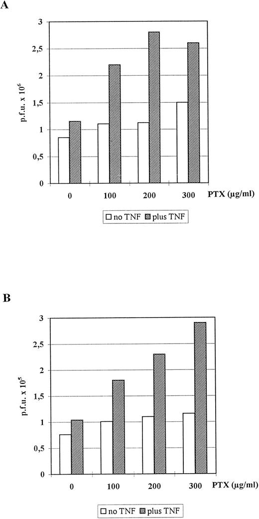 Fig. 6. Influence of TNFα and/or PTX on HCMV replication in human embryonal lung fibroblasts. Monolayers of Fi 301 cells were infected with either AD169 (A) or C563 (B). For plaque assay cells were incubated for 10 days at 37°C with one medium change at day 3. The graph represents data of one representative experiment that has been repeated four times.