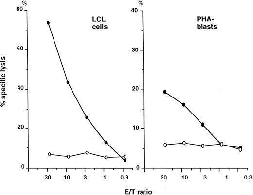 Fig. 4. Cytotoxicity of T-cell clones against auto LCL cells and PHA-stimulated peripheral blood mononuclear cells (PHA-blasts). Auto LCL cells and peripheral blood mononuclear cells that were cultured with 1% PHA in 10% FCS-RPMI 1640 medium for 7 days (PHA-blasts) were incubated with differing numbers of cloned T cells in a 4-hour cytotoxicity assay. (•) NT4.2 (clone 12); (○) NT27 (clone 10).