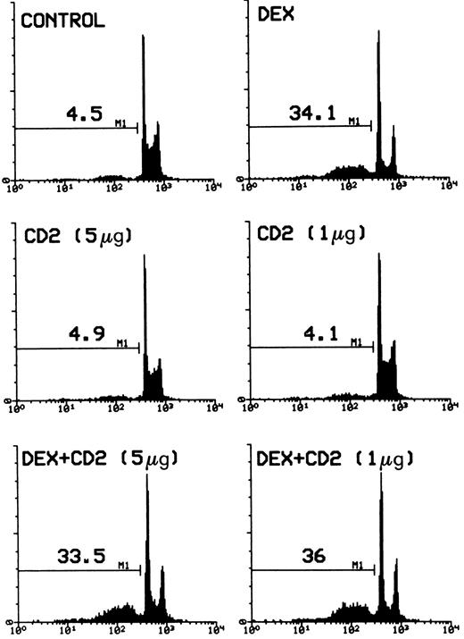 Fig. 3. Percentage of apoptotic nuclei of cells treated with DEX alone (100 nmol/L) or DEX plus different concentrations (number in parentheses) of anti-CD2 MoAbs adhered on 96-well plates. Analysis of apoptosis by flow cytometry was performed after incubation for 20 hours. The percentage of apoptotic nuclei (broad hypodiploid peak) in a representative experiment is indicated in each histogram. PI fluorescence (DNA content) versus number of nuclei is shown.