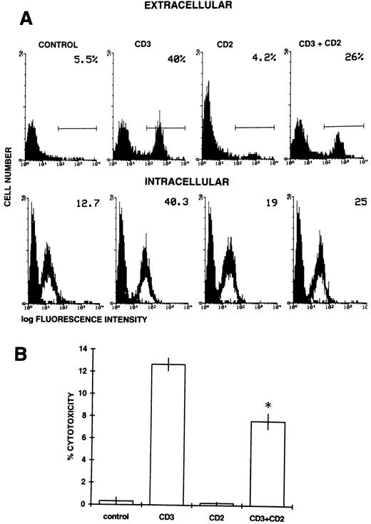 Fig. 8. (A) Extracellular (top panel) and intracellular (bottom panel) expression of Fas-L. Anti-CD3 (1 μg/well) and/or anti-CD2 (5 μg/well) MoAbs were allowed to adhere in 96-well flat-bottomed plates. 3DO cells were cultured for 20 hours on coated plates and then stained with either anti–Fas-L Ab against the extracellular portion or anti–Fas-L Ab against the intracellular portion of the molecule, as described in the Materials and Methods. The number in the upper right corner represents the percentage of cells expressing Fas-L (top panel) or the value of the histogram median (bottom panel). (B) Fas-L expression as evaluated by the cytotoxicity assay (see the Materials and Methods) with 3DO cells untreated or treated with anti-CD3 (1 μg/well) and/or anti-CD2 (5 μg/well) for 20 hours. The results represent the average of three experiments (each in triplicate culture). *P < .01 comparing anti-CD3 + anti-CD2–treated versus anti-CD3–treated group. E:T ratio, 25:1.