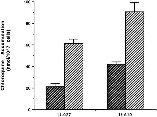 Fig. 7. Cellular accumulation of chloroquine. U-937 and U-A10 cells were exposed to chloroquine (0 to 50 μmol/L) for 2 hours before cells were washed and lysed and chloroquine was extracted. The amount of chloroquine was measured by HPLC analysis using 8-hydroxyquinoline as an internal standard. Shown is the mean (± the standard error) net cellular chloroquine accumulation when cells were exposed to 10 or 50 μmol/L chloroquine. The differences between U-937 and U-A10 cells were statistically significant at (▨) 10 (P < .005) or (▨) 50 μmol/L (P < .05) of chloroquine.