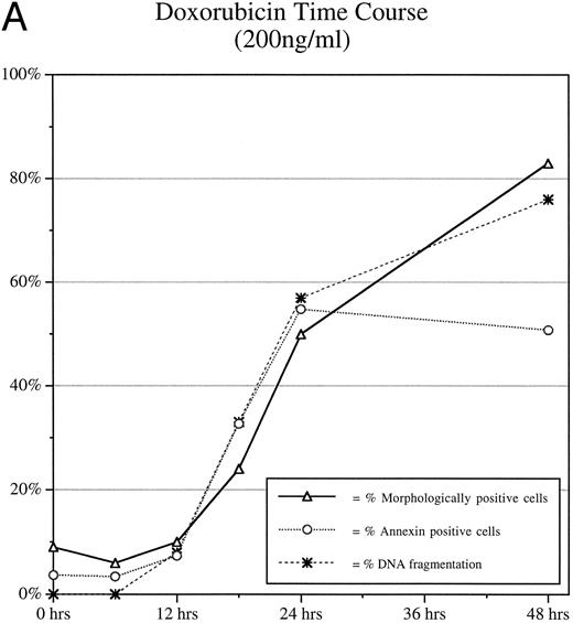 Fig. 1. Time course data of doxorubicin-treated Jurkat cultures. Jurkat cultures were incubated with 200 ng/mL of doxorubicin for 0, 6, 12, 18, 24, and 48 hours. (A) The percentage of apoptotic cells in culture as observed by nuclear morphologic analysis, FITC-annexin V flow cytometry, and DNA gel electrophoresis from 0 to 48 hours after doxorubicin treatment. (B) FITC-annexin V flow cytometric data from 0 to 24 hours after doxorubicin treatment. FCS, forward scatter; FITC-annexin V, fluorescent intensity at 494 nm plotted on a logarithmic scale. (C) 1H NMR spectra obtained (with 64 excitations) at 400 MHz. The spectral resonances of choline protons (-N(CH3 )) at 3.2 ppm, methylene protons (-CH2-) at 1.3 ppm, and methyl protons (-CH3 ) at 0.9 ppm are indicated. The CH2/CH3 signal intensity ratios were 0.28, 0.56, 0.33, 0.89, 2.41, and 4.42 at 0, 6, 12, 18, 24, and 48 hours after doxorubicin treatment, respectively.