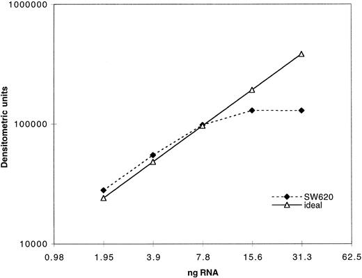 Fig. 1. Validation of PCR assay: 1 μg of total RNA was reverse transcribed and the resulting cDNA serially diluted twofold. The cDNA dilutions were then amplified with MRP primers as described in the Materials and Methods section. A total of 40 μL of the PCR products was electrophoresed on an agarose gel and the bands quantitated by densitometry. The dotted line represents the ideal if the quantity of the PCR products increased twofold with every twofold increase in input RNA.