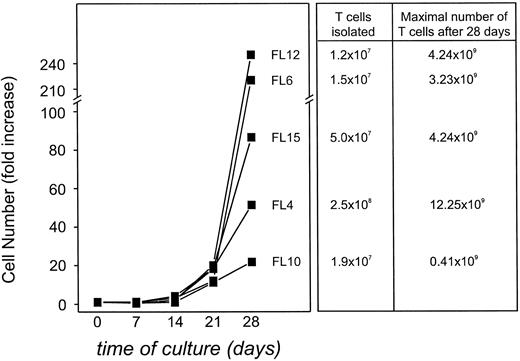 Fig. 7. Calculated maximal expansion of T-TILs from FL4, FL6, FL10, FL12, and FL15 stimulated with autologous CD40-FL cells with addition of IL-2 and IFN-γ from day 3 of coculture if all T cells isolated from the tumor specimen would have been cultured only for expansion and usage in a therapeutic setting. Total number of viable cells was assessed by trypan blue exclusion test and number of CD3+ T cells by immunophenotyping on day 0, 7, 14, 21, and 28 of culture. Expanded cells were always greater than 97% CD3 + T cells, and therefore, expansion of total cells equals the expansion of T cells.