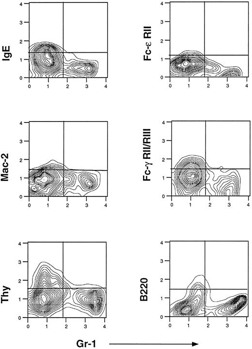 Fig. 4. Flow cytometric analysis of bone marrow cells from normal uninfected mice cultured for 3 days in medium containing rIL-3, rIL-5, and rGM-CSF. Cells were stained with different MoAbs as described in Fig 1. One representative experiment of five is shown.