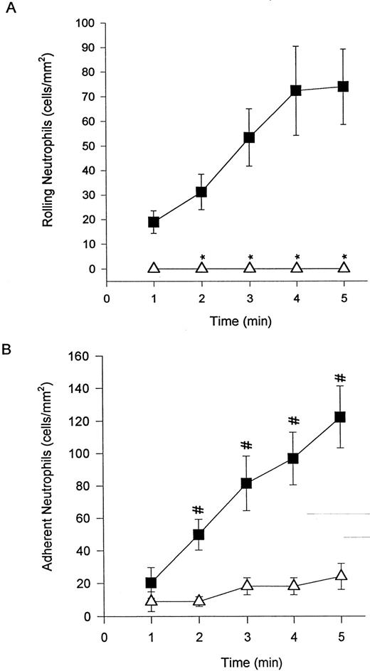 Fig. 3. Addition of EL-246 eliminated neutrophil rolling (A) and adhesion (data not shown) of DHCB-treated cells. The addition of IB4 (B) at a concentration that entirely inhibited untreated neutrophil adhesion to TNFα-treated endothelium (Fig 1B) was only 60% effective at reducing adhesion of DHCB-treated neutrophils. However, it should be noted that the number of adherent cells was reduced by 30% from untreated cells (Fig 1B) and 60% from DHCB-treated cells (Fig 2B). For (A), (▪) DHCB-treated or (▵) DHCB-treated + EL-246; for (B), (▪) DHCB-treated + IB4 or (▵) untreated + IB4 . *P < .05 relative to DHCB-treated cells. #P < .05 relative to untreated neutrophils + IB4 .