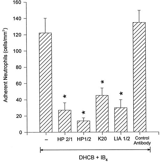 Fig. 4. Addition of the anti–α4 -integrin antibodies HP2/1 or HP1/2 inhibited the remaining firm adhesion in the presence of IB4. Similar results were seen with the addition of the anti-β1 antibodies K20 or LIA1/2. A control antibody was not inhibitory. *P < .05 relative to DHCB-treated neutrophils + IB4 .