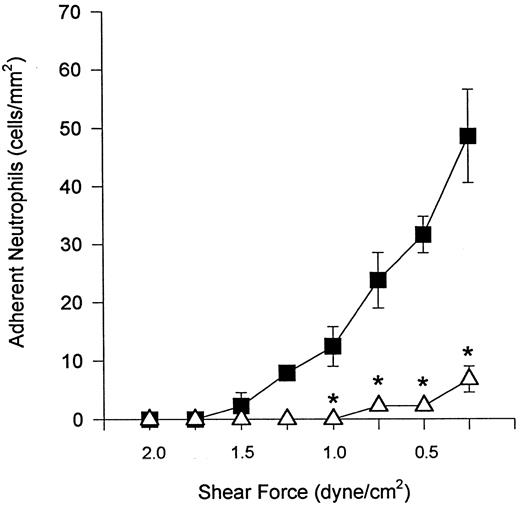 Fig. 5. In the presence of antiselectin antibody (EL-246), DHCB-treated neutrophils did not roll or adhere to TNFα-treated endothelium at 2 dyne/cm2. Shear was decreased at 2-minute intervals and neutrophil tethering and adhesion was examined in the (▵) presence and (▪) absence of the anti–α4 -integrin antibody, HP2/1. It should be noted that rolling was not observed in this series of experiments. *P < .05 relative to the no antibody condition.