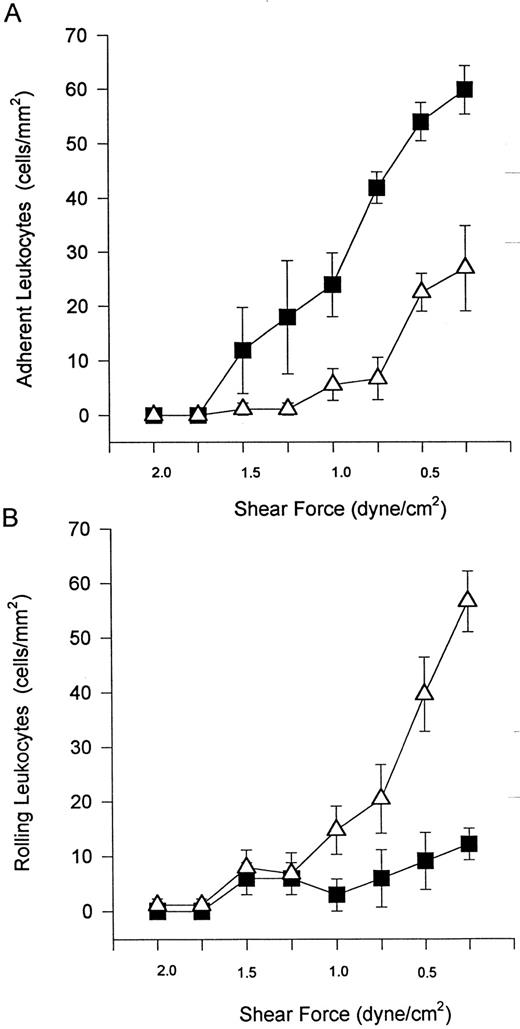 Fig. 6. To induce α4β1 expression on neutrophils, the cells were treated with DHCB and an exogenous chemotactic factor, FMLP. Perfusion of (▪) these cells or (▵) Ramos cells over VCAM-1–transfected L cells showed no interactions at 2 dyne/cm2. Reducing shear to less than 2 dyne/cm2 at 2-minute intervals caused neutrophils to tether to VCAM-1 transfectants (A) with very limited rolling (B). Untreated Ramos cells (known to express α4β1 ) interacted with VCAM-1 transfectants at very similar shears as the neutrophils but displayed primarily rolling (B), not adhesion (A).