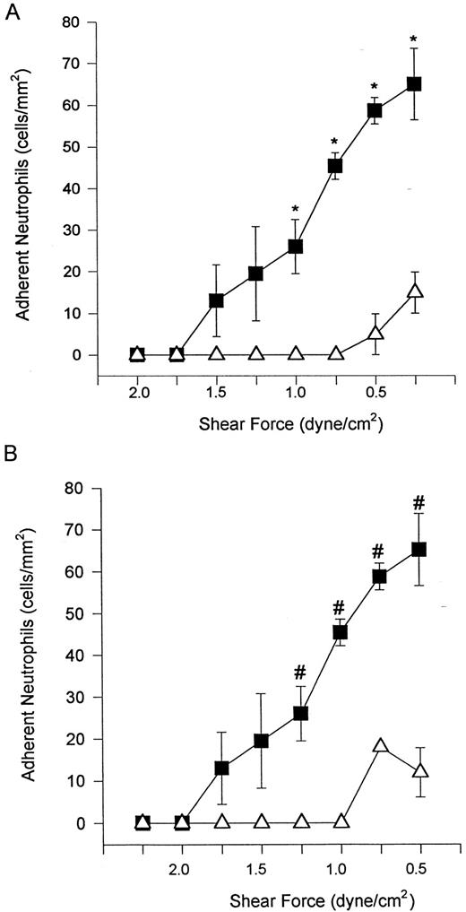 Fig. 7. α4β1 -expressing neutrophils tethered to VCAM-1–transfected L cells at shears of 1.5, 1.0, and 0.5 dyne/cm2, whereas these same cells did not interact with ICAM-1–transfected L cells until very low shear stresses (A). There were approximately the same number of ICAM-1 and VCAM-1 adhesion molecules per cell (data not shown). When used alone, anti-α4 antibody (HP2/1) blocked neutrophil adhesion to VCAM-1 (B). For (A), (▪) VCAM-1 transfectants or (▵) ICAM-1 transfectants; for (B), (▪) without HP2/1 or (▵) with HP2/1. *P < .05 relative to ICAM-1 value. #P < .05 relative to neutrophils + HP2/1.