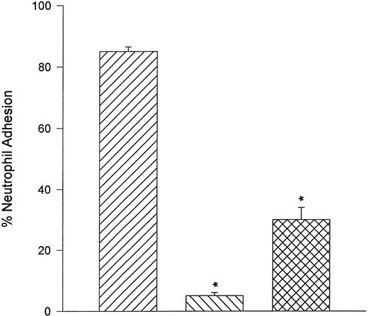 Fig. 9. Under static conditions, fibronectin served as ligand for α4 -integrin. Neutrophils adhered avidly to fibronectin and this interaction was not reduced with pretreatment of neutrophils with the anti-CD18 antibody, IB4 . Addition of a fibronectin fragment (FN-40) that contains the CS-1 binding motif for VLA-4 or HP2/1 (anti–α4 -integrin antibody) significantly reduced the adhesive interaction. Under flow conditions, neutrophils were unable to tether to fibronectin (data not shown). (▨) FMLP + DHCB + IB4 ; (▧) FMLP + DHCB + IB4 + FN40; () FMLP + DHCB + IB4 + HP2/1. *P < .05 relative to FMLP + DHCB + IB4 value.