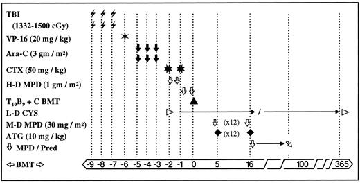 Fig. 1. Conditioning therapy and GVHD prophylaxis in 72 recipients of PMRD allo-BMT. In an effort to improve engraftment, the total dose of TBI was increased from 1,332 cGy (administered to the first 45 patients) to 1,500 cGy (administered to the subsequent 27 patients). Cyclosporin and prednisone were gradually tapered and discontinued in patients free of acute and/or chronic GVHD. Abbreviations: TBI , total body irradiation administered twice daily via AP/PA fields with ∼50% pulmonary transmission with lung shielding and electron beam boosting of chest wall, and testicles (ALL, biphenotypic) using an instantaneous dose rate of 13 to 22 cGy/min and interfraction interval of ∼8 hours; VP-16 ✶, etoposide administered once (omitted for nonmalignant disease); Ara-C ⬇, cytosine arabinoside administered twice daily × 6 doses; CTX ✳, cyclophosphamide administered daily × 2 doses; H-D MPD ⇩, high-dose methylprednisolone administered every 12 hours × 4 doses; T10B9 + C BMT ▴, marrow graft T-cell depleted with T10B9 and complement, L-D CYS ▹, low-dose cyclosporin started day −1 at 3 mg/kg constant infusion and maintained at levels between 100 to 200 as measured by monoclonal antibody technique, switched to orally after day +21 and weaned gradually through the first year post-BMT; M-D MPD ⇩, moderate-dose methylprednisolone administered before ATG; ATG ♦, antithymocyte globulin administered daily × 12 doses on day +5 to +16; ⇩ MPD/Pred; steroid dose tapered 10% weekly and switched to prednisone orally after day +21; ❁BMT➭, days before and after BMT; →, expanded time period.