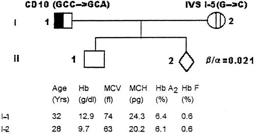 Fig. 1. Family I. The hematologic profile and the β-thalassemia mutations characterized in the parents (I-1 and I-2).