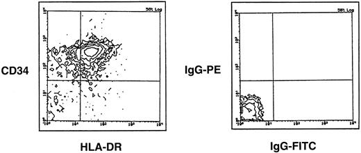 Fig. 1. Representative FACS analysis of mobilized PBPC. Depicted are the gates established for FACS selection as well as the negative controls for mobilized PBPC.