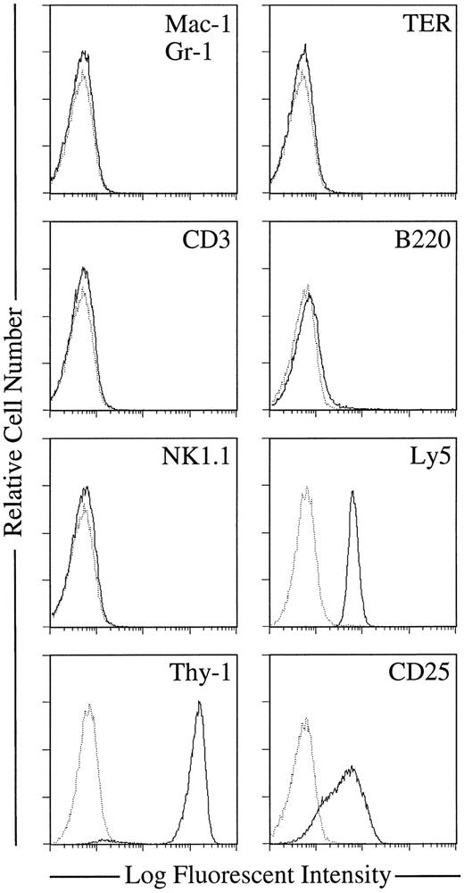 Fig. 2. Surface phenotype of cells constituting the immature NK cell colonies. Thymocytes obtained from day 14 fetus were plated in methylcellulose culture with SF, IL-7, and IL-15. After 14 days of culture, immature NK cell colonies were individually picked, pooled, and stained with MoAbs specific for molecules indicated in each FACS profiles. Stained cells were analyzed by FACS Vantage using CellQuest software. Dotted and solid lines in each profiles represent cell stained with isotype-matched Ig and specific MoAbs, respectively.