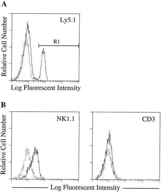 Fig. 3. Surface phenotype of cells developing in the fetal thymus lobe culture. Fetal thymocytes from C57BL/6-Ly5.1/C57BL/6-Ly5.2 F1 mice (Ly5.1/Ly5.2) were plated in methylcellulose culture with SF, IL-7, and IL-15. After 14 days of culture, immature NK cell colonies were individually picked, pooled, and incubated in hanging drops for 20 hours with fetal thymus lobes from BDF1 (Ly5.2) mice. The lobes were cultured on filter membranes for an additional 8 days. Cells recovered from the lobes were stained with MoAbs specific for molecules indicated in each FACS profiles. (A) Expression of Ly5.1 (donor marker) by the cells from cultured lobes. (B) Expression of NK1.1 and CD3 by donor-derived cells. Only the gated cell population (R1) is shown in each FACS profile. Dotted and solid lines represent cells stained with isotype-matched Ig and specific MoAbs, respectively.