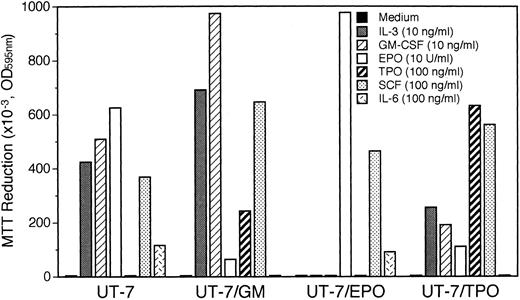 Fig. 1. Profiles of proliferative responses of UT-7/GM cells to various cytokines. Proliferative responses of UT-7/GM cells to cytokines were analyzed by the MTT assay (see Materials and Methods). Cells were plated at a density of 104/well in IMDM supplemented with 5% FCS and cultured with TPO (100 ng/mL), IL-3 (10 ng/mL), GM-CSF (10 ng/mL), EPO (10 U/mL), SCF (100 ng/mL), or IL-6 (100 ng/mL). MTT reduction was measured after 3 days of culture. The values represent the mean ± SD from triplicate cultures.