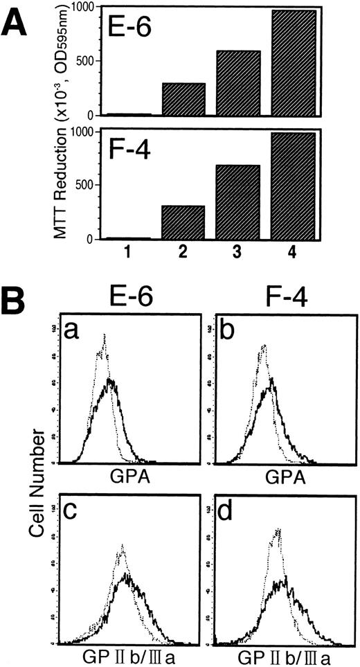 Fig. 12. Characterization of UT-7/GM subclones. (A) Growth profiles of UT-7/GM subclones to several cytokines. UT-7/GM cells were subcloned by picking up a single colony formed in the semisolid culture containing methylcellulose medium. Each colony was expanded in liquid suspension culture in the presence of GM-CSF (1 ng/mL). Proliferative responses of UT-7/GM subclones (E-6 and F-4) to cytokines were analyzed by the MTT assay (see Materials and Methods). Cells were plated at a density of 104/well in IMDM supplemented with 5% FCS and cultured with medium alone (lane 1), EPO (10 U/mL; lane 2), TPO (100 ng/mL; lane 3), or GM-CSF (10 ng/mL; lane 4). MTT reduction was measured after 3 days of culture. The values represent the mean ± SD from triplicate cultures. (B) The effect of EPO or TPO on the erythroid or megakaryocytic differentiation of E-6 (a and c) and F-4 (b and d). After complete removal of GM-CSF from the conditioned media, EPO (10 U/mL; a and b) or TPO (100 ng/mL; c and d) was added to the liquid culture. One week later, the cells were obtained and prepared for analysis of cell-surface markers (GPA & GPIIb/IIIa) by immunofluorescence. Thin line, treatment with GM-CSF; thick line, treatment with EPO or TPO.
