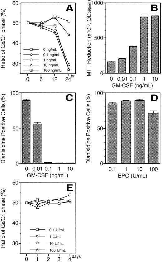 Fig. 13. (A) Percentage of cells in the G0 and G1 phases after stimulation with the increasing concentrations of GM-CSF (0.1 to 100 ng/mL) in the presence of 10 U/mL of EPO. Growth factor-deprived UT-7/GM cells were cultured under various conditions and obtained for the analysis of the cell cycle. (B) Effect of the increasing concentration of GM-CSF on the proliferation of UT-7/GM cells in the presence of a constant concentration of EPO. Cell proliferation of UT-7/GM was analyzed by MTT assay (see Materials and Methods). Cells were plated at a density of 104/well in IMDM supplemented with 5% FCS and cultured with increasing concentrations of GM-CSF (0.01 to 10 ng/mL) in the presence of 10 U/mL of EPO. MTT reduction was measured after 3 days of culture. The values represent the mean ± SD from triplicate cultures. (C) Suppression by GM-CSF of EPO-induced erythroid differentiation in a dose-dependent manner. UT-7/GM cells were cultured with increasing concentrations of GM-CSF (0.01 to 10 ng/mL) in the presence of 10 U/mL of EPO. Two weeks later, the cells were obtained and stained with dianisidine as described in Materials and Methods. (D) Percentage of dianisidine-positive cells after stimulation with increasing concentrations of EPO. Cells were cultured with increasing concentrations of EPO (0.1 to 100 U/mL). Two weeks later, the cells were obtained and stained with dianidisine. (E) Percentage of cells in the G0 and G1 phases after stimulation with increasing concentrations of EPO. Growth-factor–deprived cells were cultured with increasing concentrations of EPO (0.1 to 100 U/mL) for the indicated periods and then harvested for the analysis of the cell cycle.