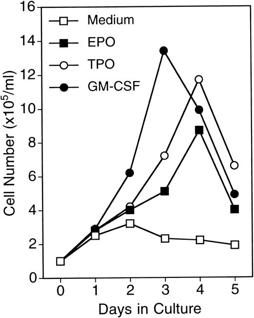 Fig. 2. Growth curves of UT-7/GM cells in suspension culture. UT-7/GM cells were cultured in tissue culture flasks with GM-CSF (10 ng/mL), EPO (10 U/mL), TPO (100 ng/mL), or their combinations. Viable cell numbers were assessed by trypan blue dye exclusion.