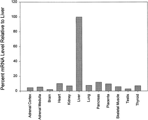 Fig. 4. Northern blot analysis of various human organs probed with γ-glutamyl carboxylase cDNA. mRNA levels are shown as percentages relative to the mRNA level in liver. Quantitiation was performed with the ImageQuant software.
