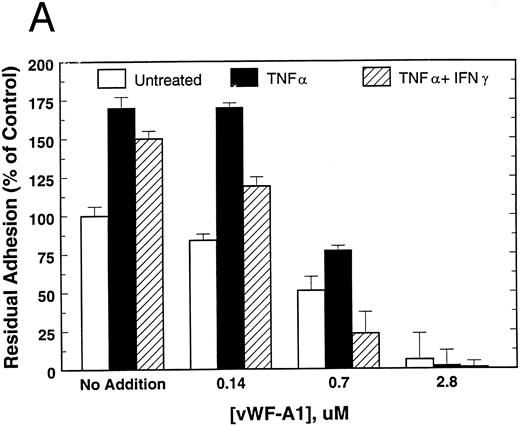 Fig. 1. Attachment of untreated, TNF-α–treated, and TNF-α + IFN-γ–treated HUVEC to RADS-vWF in the presence of (A) vWF-A1 or (B) the GP Ibα MoAb AS-7. HUVEC were pretreated with TNF-α for 17 hours (▪) or with IFN-γ for 72 hours and TNF-α for the last 17 hours (▨), or were left untreated (□). HUVEC attachment was measured at 60 minutes as described in Materials and Methods.