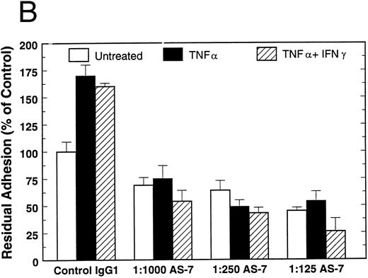 Fig. 1. Attachment of untreated, TNF-α–treated, and TNF-α + IFN-γ–treated HUVEC to RADS-vWF in the presence of (A) vWF-A1 or (B) the GP Ibα MoAb AS-7. HUVEC were pretreated with TNF-α for 17 hours (▪) or with IFN-γ for 72 hours and TNF-α for the last 17 hours (▨), or were left untreated (□). HUVEC attachment was measured at 60 minutes as described in Materials and Methods.