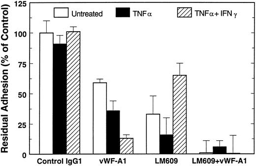 Fig. 2. Attachment of HUVEC to WT-vWF. Effect of vWF-A1 and the anti-VNR. The anti-VNR MoAb LM609 and 3 μmol/L of the vWF-A1 polypeptide, were added individually or in combination to untreated and cytokine-treated HUVEC and attachment was measured as described above after 60 minutes. Attachment to BSA was measured in parallel and subtracted from all values.