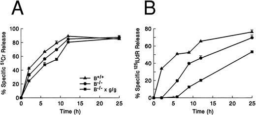 Fig. 3. One mechanism of granzyme B–independent cytotoxicity involving the Fas pathway. Allospecific day 5 MLR-derived CTLs (H-2b anti–H-2d) from granzyme B+/+ (B+/+), granzyme B−/− (B−/−), and granzyme B−/− × gld/gld (B−/− × g/g) spleens were used against allogeneic TA3 (H-2d) lymphoma cells at a fixed E:T ratio of 10:1 in 51Cr release (A) and 125IUdR release (B) assays. Note that granzyme B−/− and granzyme B−/− × gld/gld CTLs induce essentially normal levels of 51Cr release, whereas both effector populations are unable to mediate any 125I-labeled DNA release at early time points. However, the defective 125I-labeled DNA release is more severe in granzyme B−/− × gld/gld cells than in CTLs deficient for granzyme B alone. Error bars show the range of values at each point. This experiment represents one of four with similar results.