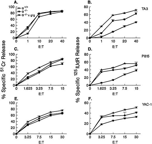 Fig. 4. Allogeneic cytotoxicity of granzyme B−/− × gld/gld CTLs against three different tumor cell lines. H-2b anti–H-2d CTLs produced in day 5 MCR cultures from granzyme B+/+ (B+/+), granzyme B−/− (B−/−), and granzyme B−/− × gld/gld (B−/− × g/g) spleens were tested against TA3 (A and B), P815 (C and D), and YAC-1 (E and F) cells at varying E:T ratios after 10 hours of incubation in a 51Cr release (A, C, and E) and 125IUdR release (B, D, and F) assays. All three types of effector cells induce similar levels of 51Cr release from TA3, P815, or YAC-1 targets. Granzyme B−/− × gld/gld CTLs exhibit reduced amounts of 125I-labeled DNA release at all E:T ratios tested against all three lines.