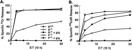 Fig. 6. Granzyme B–independent cytotoxicity is accounted for by the Fas pathway and a distinct perforin-dependent mechanism. CTLs (H-2b anti–H-2d) produced in day 5 MLR splenocyte cultures from wild-type (B+/+), granzyme B−/−, granzyme B−/− × gld/gld, perforin (P) −/−, and P−/− × gld/gld were tested against allogeneic TA3 cells at various E:T ratios after prolonged incubation (10 hours) in 51Cr release (A) and 125IUdR release (B) assays. P−/− × gld/gld CTLs do not exhibit any cytotoxicity even after prolonged incubation. Similar results were obtained using P815 and YAC-1 target cell lines (data not shown). Error bars show the range of values at each point. This experiment represents one of three with similar results.