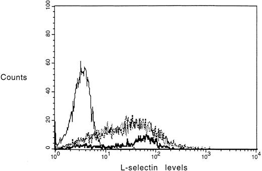 Fig. 1. L-selectin levels of monocytes in whole blood, mononuclear/pre-elutriation fraction, and elutriated monocytes. Dreg-56 FITC was used to label L-selectin on monocytes. Monocytes treated with chymotrypsin (0.4 U/106 cells) for 10 minutes at 25°C were used for background fluorescence as shown by a solid line. L-selectin on monocytes in whole blood is indicated by a bold solid line. L-selectin levels on pre- (solid dashes) and post-elutriation monocyte fractions (dotted line) were almost identical.