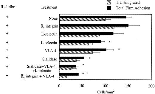 Fig. 3. Adhesion of monocytes to (4 h) IL-1β–stimulated HUVECs at a wall shear stress of 2 dynes/cm2: effects of MoAb and enzyme treatment on both firm adhesion and on monocyte transmigration, (n = 3 to 19 experiments). MoAbs CL2/6 Fab2 and Dreg-56 were used to inhibit E- and L-selectin function. MoAb HP2/1 was used to block VLA-4 on the monocyte surface while MoAb R15.7 was used against β2 integrins. Neuraminidase was used in the sialidase treatment. *Statistical significance (P < .05) compared with control with no MoAb treatments. †Statistical significance (P < .05) compared with anti–VLA-4 and anti-β2 integrin treatments.