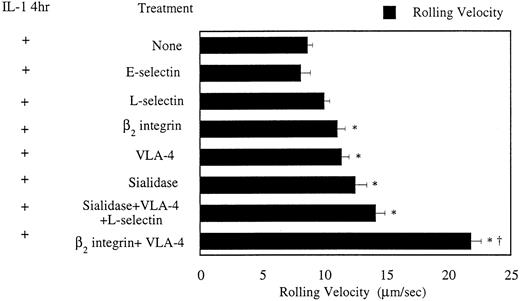 Fig. 5. Average rolling velocities of monocytes on IL-1β–stimulated HUVECs at a wall shear stress of 2 dynes/cm2. Four-second maximization images were acquired to calculate rolling velocities of monocytes. *Statistically significant (P < .05) difference in rolling velocity as compared with control. †Statistical significance (P < .05) of anti–VLA-4 and anti-β2 integrin treatments compared with all other treatments (n = 25-35). Monocytes from different experiments were included for rolling velocity measurements.