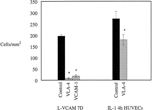 Fig. 7. Monocyte interaction on L-VCAM (7D) monolayers at a wall shear stress of 2 dynes/cm2. Effects of blocking α4 β1 integrin using MoAb HP2/1 and VCAM-1 with MoAb 4B9 on monocyte interaction with L-VCAM and IL-1β–stimulated HUVEC monolayers. For L-VCAM-1 monolayer, n = 2-3 experiments; for HUVCEs, n = 12-19. *Statistical significance (P < .05) of each treatment compared to control on respective substrates.