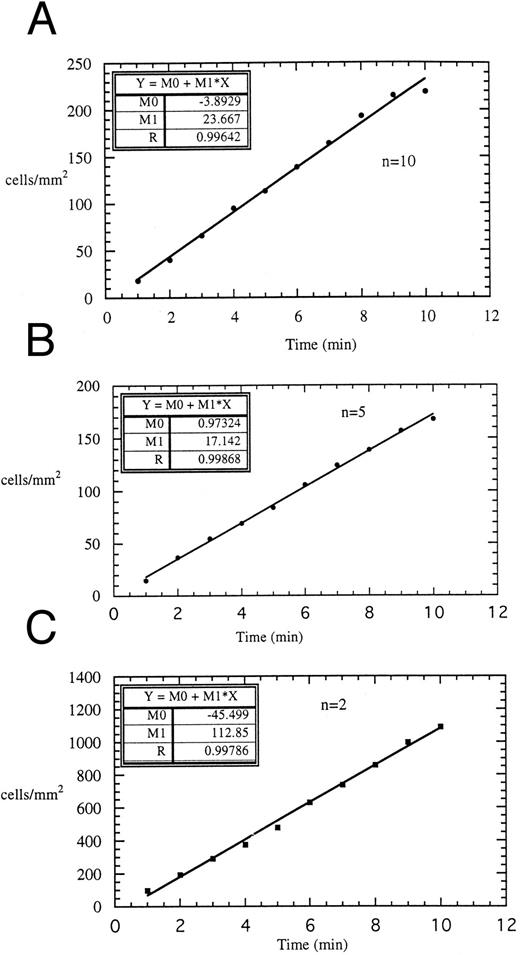 Fig. 8. Accumulation kinetics of monocytes on (A) 4 h IL-1β–stimulated HUVEC monolayers (n = 10), (B) 4 h IL-1β–stimulated HUVEC monolayers in presence of Dreg-56 (n = 5) and (C) L-ELAM monolayers (n = 2). For all studies, 106/mL monocytes were perfused over the monolayers at a wall shear stress of 2 dynes/cm2. Accumulation of monocytes in all three cases were fitted to a linear equation where Y = accumulated monocytes (cells/mm2 ), X = time (min). The correlation coefficient, R for each case was greater than 0.99.