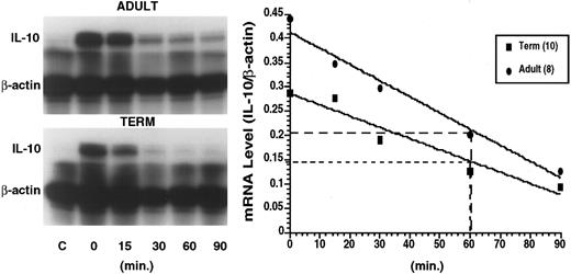 Fig. 6. This composite figure depicts a representative RNAse protection assay (left panel) demonstrating actinomycin D half-life of IL-10 transcripts in PBMNCs from an adult (upper gel) and from a term neonate (lower gel). Total cellular RNA was obtained at 10 hours of culture in the absence of stimuli (control) and in the presence of LPS (1 μg/mL). Following 10 hours of culture actinomycin D was added and RNA isolated at time 0, 15, 30, 60, and 90 minutes after its addition to the culture media. The RNA was subsequently hybridized to human IL-10 and β-actin probes. The right panel shows a linear regression analysis of IL-10 transcript half-life derived from unstimulated (C) and LPS-induced blood mononuclear cells of adult origin (n = 8) and of neonatal origin (n = 10) at various time points (0, 15, 30, 60, and 90 minutes) following addition of actinomycin D. Points representing mean of relative IL-10 transcript content (densitometric ratio of IL-10 to β-actin) plotted versus time are illustrated with adult values being represented by the closed circles, term values being represented by closed squares.