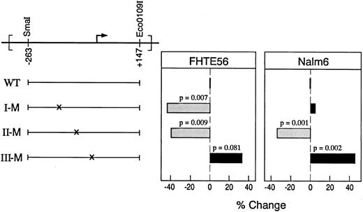 Fig. 5. Functional analysis of region I, II, and III mutations in the type 2 CD10/NEP promoter. (Left) Mutated CD10/NEP(−263/+147)pXP2 constructs. Wild-type CD10/NEP (−263/+147)pXP2 construct (WT) and mutated region I (I-M), II (II-M), and III (III-M) constructs are shown. (Right) Luciferase assays of mutated CD10/NEP(−263/+147) constructs. The indicated WT and mutated CD10/NEP (−263/+147)pXP2 constructs were cotransfected with CMV-GH plasmid into FHTE56 and Nalm-6 cells. Resulting luciferase activities were measured and normalized for transfection efficiency by standardizing for GH production driven by the CMV-GH internal control. Promoter activity (RLU) represents the mean ± SE for two separate experiments performed in duplicate: FHTE56 v Nalm-6: WT, 1,293 ± 123 (100%) v 245 ± 12 (100%); I-M, 721 ± 69 (56%) v 257 ± 18 (105%); II-M, 774 ± 57 (60%) v 162 ± 8 (66%); III-M, 1,716 ± 160 (133%) v 357 ± 18 (146%). Differences between promoter activity driven by WT and mutated constructs were evaluated using a one-sided Student's t-test.
