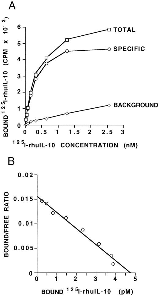 Fig. 1. IL-10 receptor expression on B-CLL cells. (A) MNCs (5 × 106) from a B-CLL patient, containing 97% CD19/CD5 positive B-CLL cells, were incubated with increasing amounts of radiolabeled IL-10 with or without a 1,000-fold excess of unlabeled IL-10. Points shown are averages of duplicates, with a standard deviation of less than 15%. The specific binding was determined as the difference between the total CPM and the CPM in the presence of 1,000-fold excess unlabeled IL-10. Maximal binding occurs at 1.5 to 2.5 nmol/L. (B) Scatchard analysis of equilibrium binding data from the same patient sample as shown in (A). The kd derived is 306 pmol/L and the Bmax is 4.8 pmol/L, giving an estimate of 116 IL-10 receptors per cell. These data are representative of three such experiments from three different B-CLL patients.