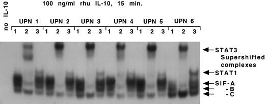 Fig. 2. IL-10 receptor signal transduction in B-CLL cells. MNCs (1 × 107) containing a median of 93% CD19/CD5 positive B-CLL cells from 6 patients with B-CLL were stimulated with IL-10 (100 ng/mL) for 15 minutes. Whole cell extracts were prepared and subjected to EMSA using SIE as a probe as described in Materials and Methods. The lane to the far left identifies an EMSA with B-CLL cells (UPN 2) and the SIE probe in the absence of IL-10 (negative control). For each UPN, lane 1 identifies an EMSA with B-CLL cells and the SIE probe in the presence of IL-10, giving rise to SIF-A, -B, and -C complex as indicated on the right. For each UPN, lanes 2 and 3 identify an electrophoretic mobility supershift assay with B-CLL cells, the SIE probe, IL-10, and an antibody specific for STAT3 (lane 2) or STAT1 (lane 3). The arrows identify STAT1 and STAT3 MoAb-mediated supershift in all six patient samples.