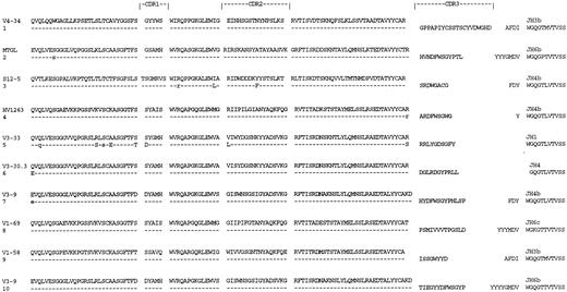 Fig. 1. Deduced amino acid sequences of VH regions of tumor-derived clones from cases of CLL with a trisomy 12 chromosomal abnormality. Comparisons are made to the closest germ line VH genes. Uppercase, replacement mutations; lowercase, silent mutations.