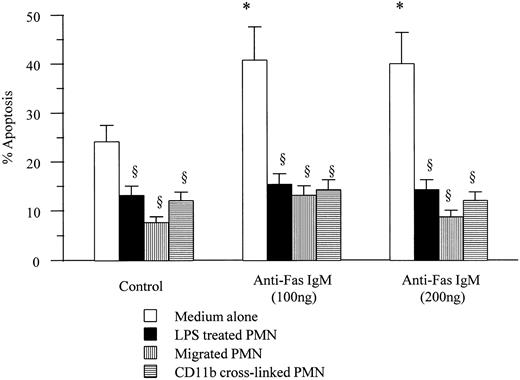Fig. 2. Effects of anti-Fas IgM on apoptotic rates of activated neutrophils. Neutrophils (1 × 106/mL) incubated with LPS (1 μg/mL), migrated through an endothelial cell/fibronectin monolayer, or cross-linked with antibodies to CD11b, were incubated with anti-Fas IgM (100 or 200 ng/mL) for 1 hour before being washed. Apoptosis was assessed after 18-hour incubation in medium alone by flow cytometry. *P < .05 versus control, ρP < .05 versus medium alone. Results are the mean ± SD for n = 5 experiments with four separate donors of neutrophils.