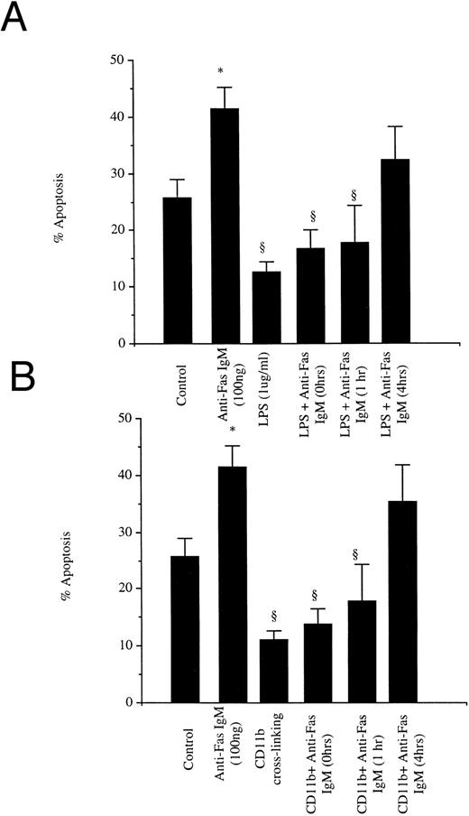 Fig. 3. Temporal course of responsiveness to anti-Fas IgM ligation. Neutrophils (1 × 106/mL) were incubated with LPS (1 μg/mL) (A) or cross-linked with antibodies to CD11b (8 μg/mL) (B) for 0, 1, or 4 hours, washed, and then incubated with anti-Fas IgM (100 ng/mL for 1 hour). Apoptosis was assessed by flow cytometry at 18 hours after incubation with LPS or CD11b ligation. *P < .05 versus control, ρ P < .05 versus Fas (100 ng/mL). Results are the mean ± SD for n = 5 experiments with four separate donors of neutrophils.