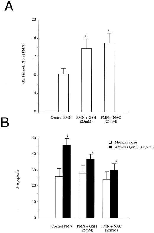 Fig. 5. Effects of the antioxidants GSH and NAC on neutrophil GSH levels (A) and Fas induced apoptosis (B). (A) Neutrophils (10 × 106/mL) were incubated for 1 hour with GSH (25 mmol/L) or NAC (25 mmol/L), washed extensively, then assayed for intracellular GSH levels as described in Materials and Methods. (B) Neutrophils (1 × 106/mL) were incubated for 1 hour with GSH (25 mmol/L) or NAC (25 mmol/L), then incubated with anti-Fas IgM (100 ng/mL) for 1 hour before washing. Apoptosis was assessed by flow cytometry 18 hours after the addition of anti-Fas IgM. *P < .05 versus control; ρP < .05 versus control PMN and medium alone. Results are the mean ± SD for n = 4 experiments with four separate donors of neutrophils.
