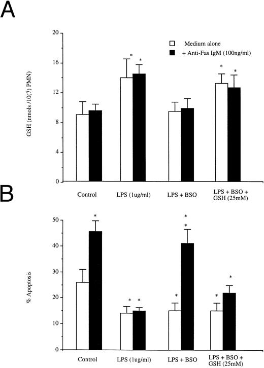 Fig. 6. Effects of BSO on (A) LPS induced increases in GSH and (B) LPS-induced blockade of anti-Fas IgM induced neutrophil apoptosis. Neutrophils (1 × 106/mL) were preincubated with or without BSO (50 mmol/L) and then incubated with LPS (1 μg/mL) or LPS (1 μg/mL) + GSH (25 mmol/L), all groups were incubated after 1 hour with or without Fas (100 ng/mL). Intracellular GSH and apoptosis were assessed at 1 hour and 18 hours, respectively. *P < .05 versus control. Results are the mean ± SD for n = 3 experiments with three separate donors of neutrophils.