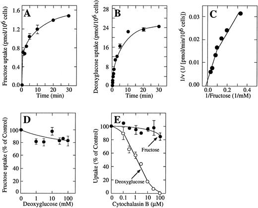 Fig. 4. Kinetic analysis of the uptake of fructose by erythrocytes. (A) Time course of the uptake of 0.5 mmol/L fructose. (B) Time course of the uptake of 0.5 mmol/L deoxyglucose. (C) Double-reciprocal plot of the substrate dependence for fructose transport. Uptake was measured in the presence of concentrations of fructose ranging from 3 to 40 mmol/L. (D) Semilog plot of the concentration dependence for inhibition of fructose transport by deoxyglucose. Measurements were performed at 0.5 mmol/L fructose using 1-minute uptake assays. (E) Semilog plot of the concentration dependence for inhibition of fructose (•) and deoxyglucose transport (○) by cytochalasin B. Measurements were performed at 0.5 mmol/L fructose or deoxyglucose using 1-minute uptake assays. Cells were preincubated for 5 minutes with cytochalasin B. Where appropriate, data represent the mean ± SD of at least four samples.