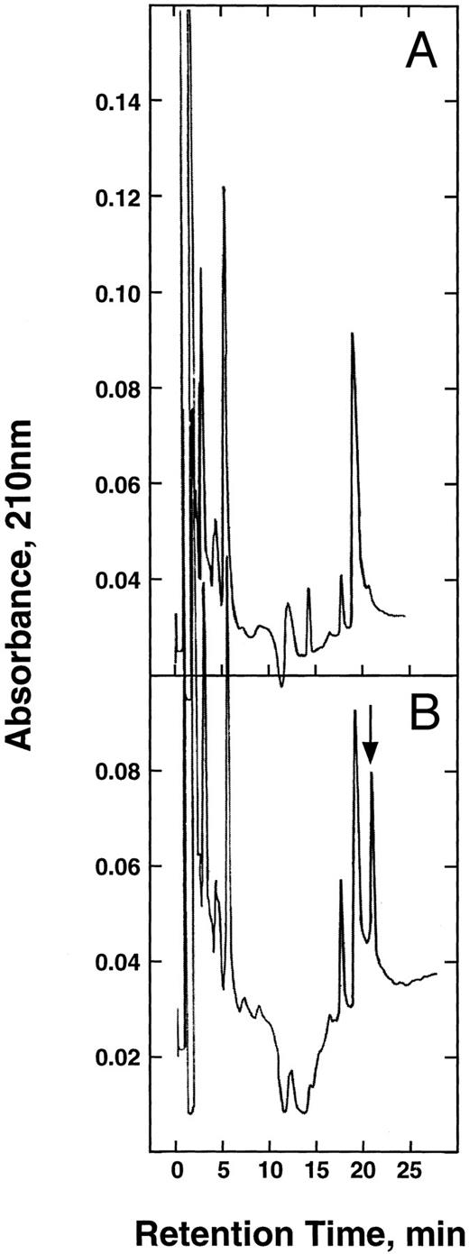Fig. 3. Tryptic peptide maps of the α-chains. The α-chains of HbA (A) and E6V(β)/D85K(α) (B) were isolated, carboxymethylated, and digested with trypsin as described in the text. The resulting peptides were separated on a Vydac 400VHP575 strong cation exchange column by NaCl gradient (0 to 100 mmol/L) in 20 mmol/L Na-acetate/10% acetonitrile buffer (pH 5.2). The arrow shows the mutant pentapeptide.